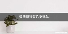 曼彻斯特有几支球队