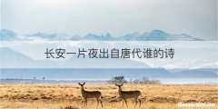 长安一片夜出自唐代谁的诗
