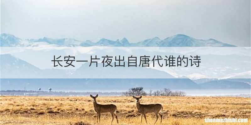 长安一片夜出自唐代谁的诗