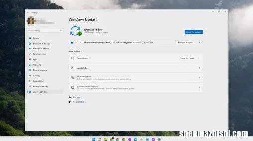 Windows11无法连接网络的五个解决方法