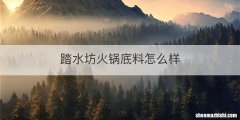 踏水坊火锅底料怎么样
