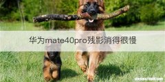 华为mate40pro残影消得很慢