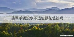 翡翠手镯没水不透但飘花值钱吗
