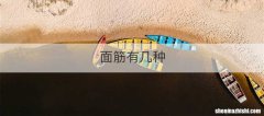 面筋有几种