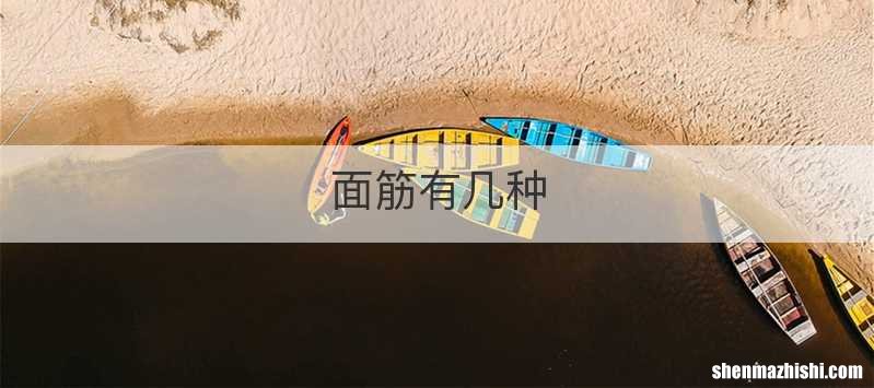 面筋有几种