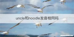 uncle和noodle发音相同吗
