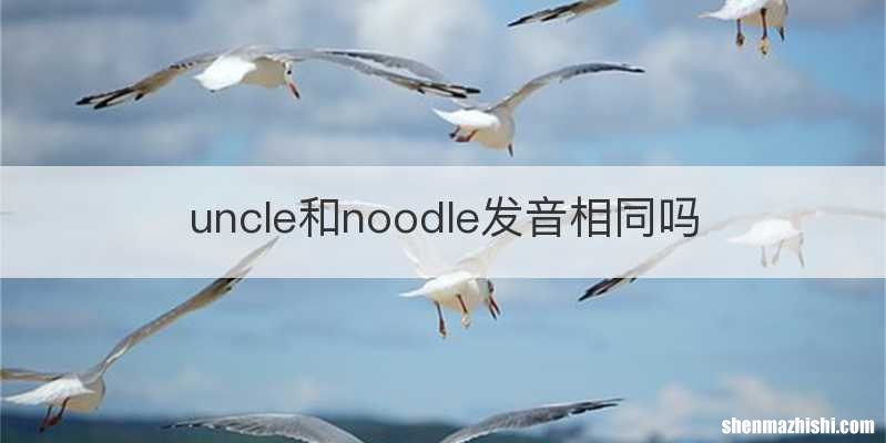 uncle和noodle发音相同吗