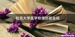 杜克大学医学物理好就业吗