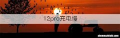 12pro充电慢
