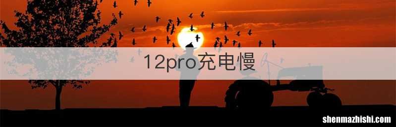 12pro充电慢