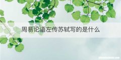 周易论语左传苏轼写的是什么