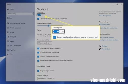 如何修复Windows10上鼠标光标消失的问题
