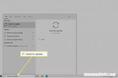 如何修复Windows10上鼠标光标消失的问题