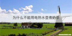 为什么不能用电热水壶煮奶茶