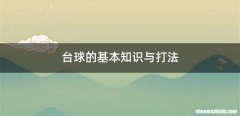 台球的基本知识与打法