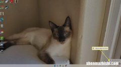 如何更改Windows11中的时间，这五招教你