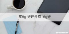 双8g 好还是双16g好