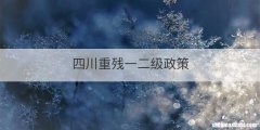 四川重残一二级政策
