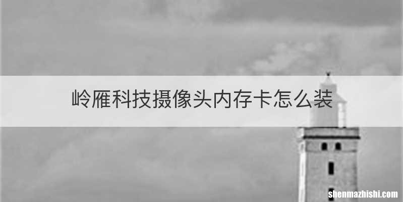 岭雁科技摄像头内存卡怎么装