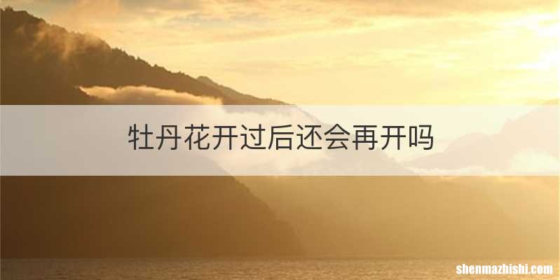 牡丹花开过后还会再开吗