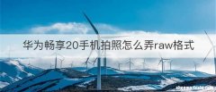 华为畅享20手机拍照怎么弄raw格式