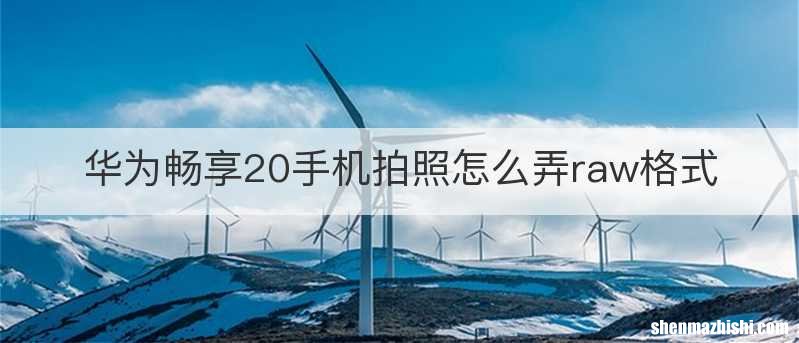 华为畅享20手机拍照怎么弄raw格式
