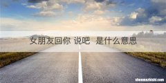 女朋友回你 说吧是什么意思