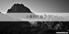 小麦秆产地
