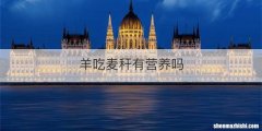 羊吃麦秆有营养吗