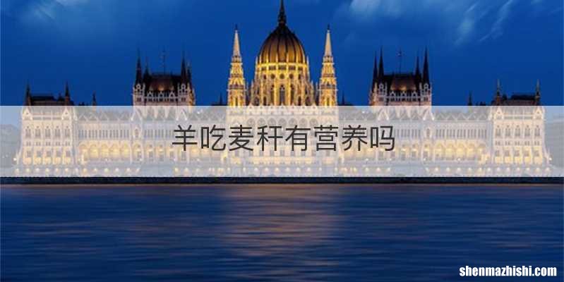 羊吃麦秆有营养吗