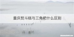 重庆熨斗糕与三角粑什么区别