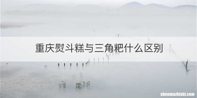 重庆熨斗糕与三角粑什么区别