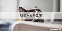 租鱼竿去哪里租