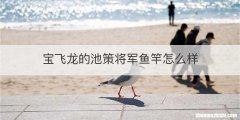 宝飞龙的池策将军鱼竿怎么样