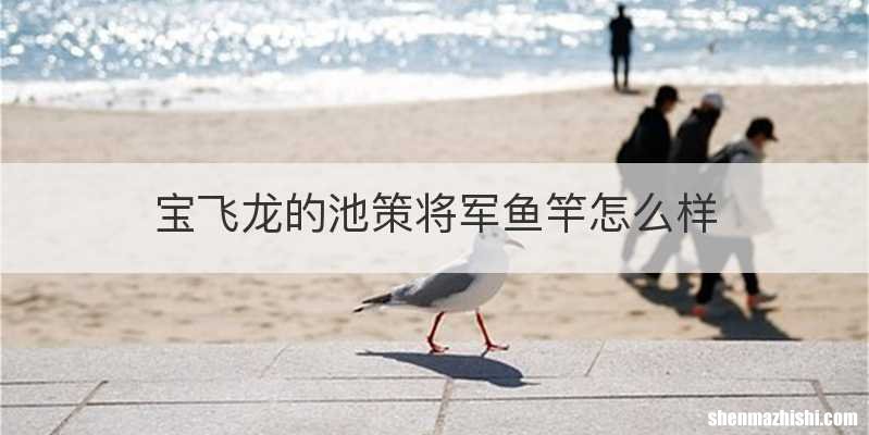 宝飞龙的池策将军鱼竿怎么样