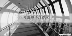 多肉要浇几克水