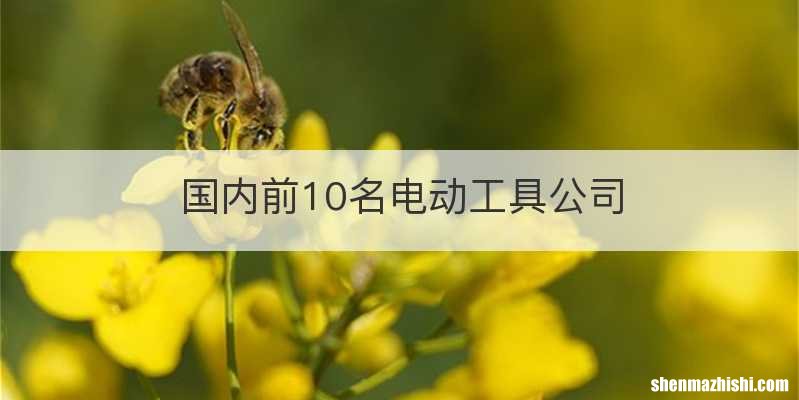 国内前10名电动工具公司