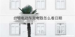 台铃电动车充电器怎么看日期