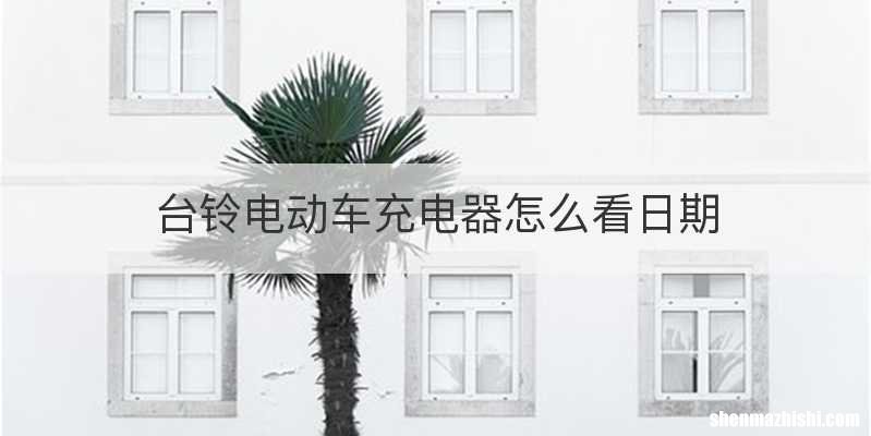 台铃电动车充电器怎么看日期