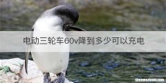 电动三轮车60v降到多少可以充电