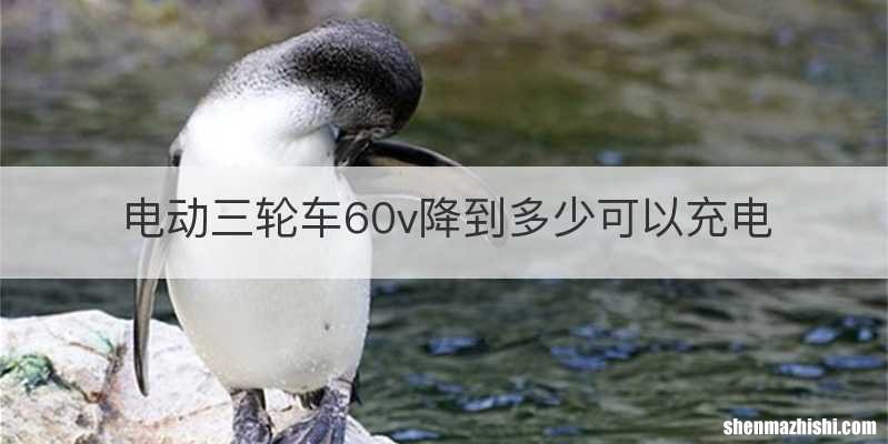 电动三轮车60v降到多少可以充电