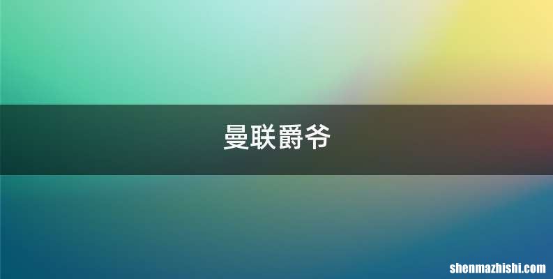 曼联爵爷