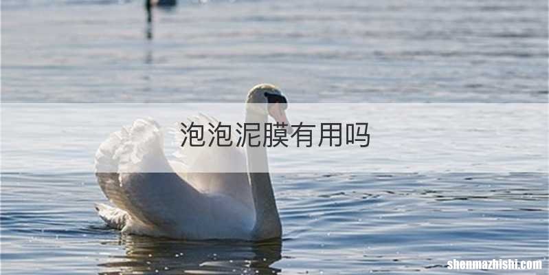 泡泡泥膜有用吗