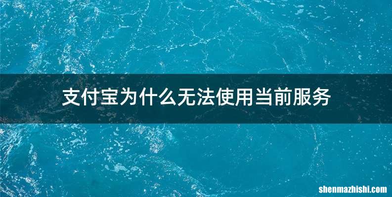 支付宝为什么无法使用当前服务