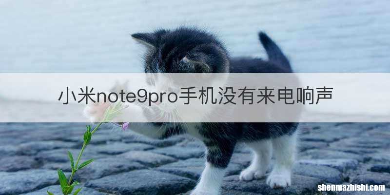 小米note9pro手机没有来电响声