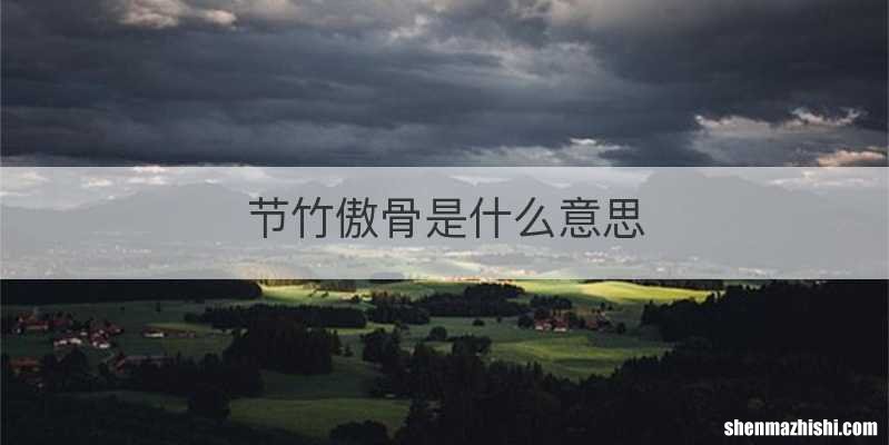 节竹傲骨是什么意思