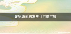 足球场地标准尺寸百度百科