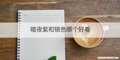 暗夜紫和银色哪个好看