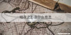 暗夜之影是什么意思
