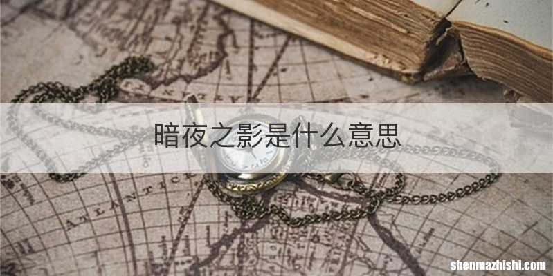 暗夜之影是什么意思
